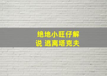 绝地小旺仔解说 逃离塔克夫